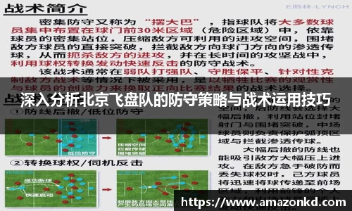 深入分析北京飞盘队的防守策略与战术运用技巧