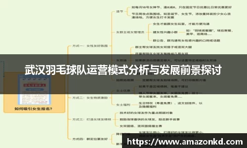 武汉羽毛球队运营模式分析与发展前景探讨
